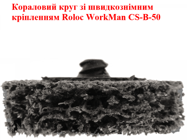 Шлифовальный диск с креплением Roloc WorkMan CS-B-50 фото 1