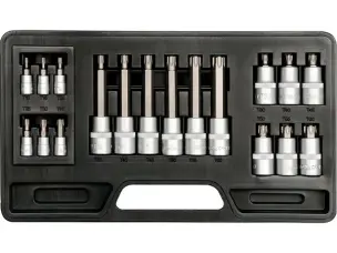 Набір торцевих головок з бітами Torx T10-T60 (1/4", 1/2") S2/CrV