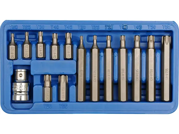 Набор бит Torx шестигранная звезда T20-T55 Vorel